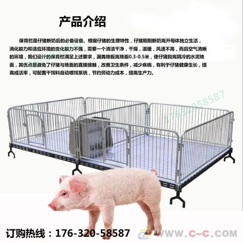 泊头仔猪保育床小猪培育床养猪设备